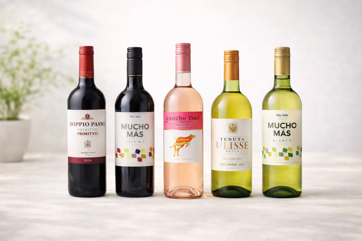Affordable wine selection under $40 featuring red, white, and rosé bottles
