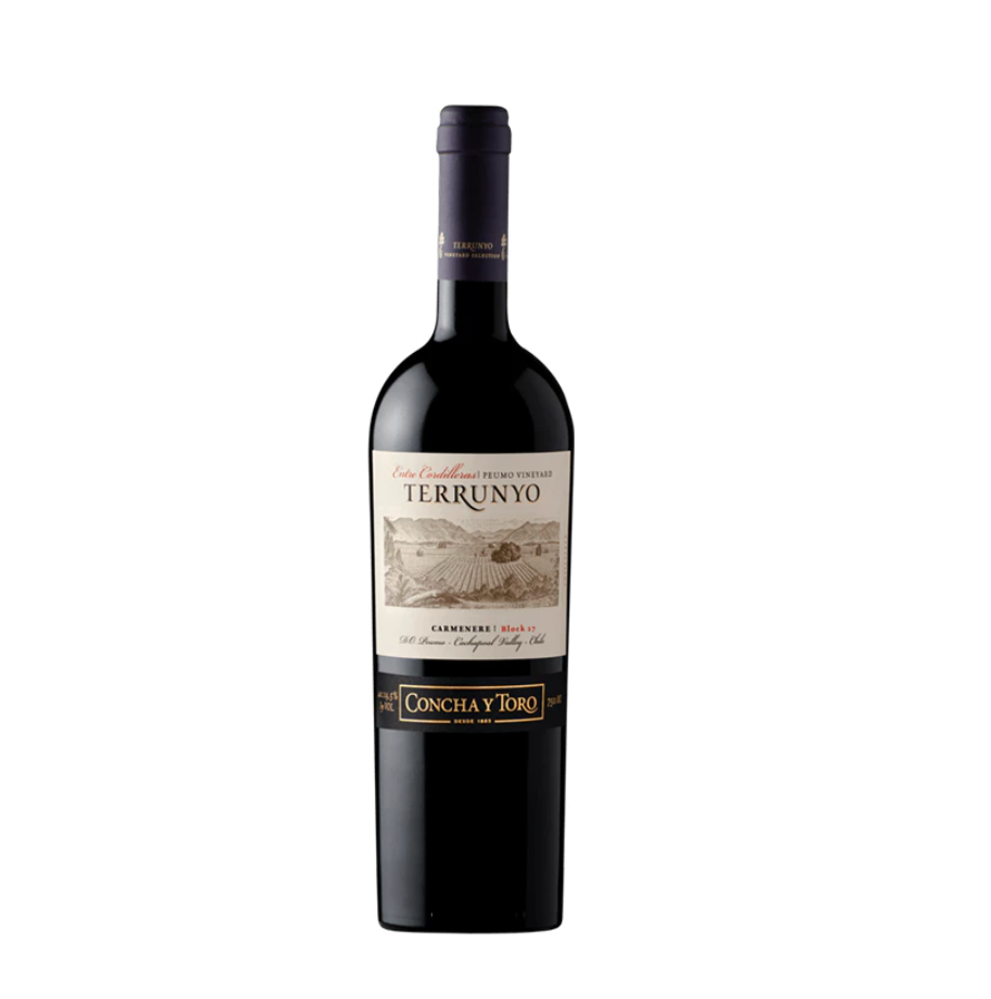 Terrunyo Carménère Peumo Vineyard Block 27 2019 750ml 14% Chile Red Wine