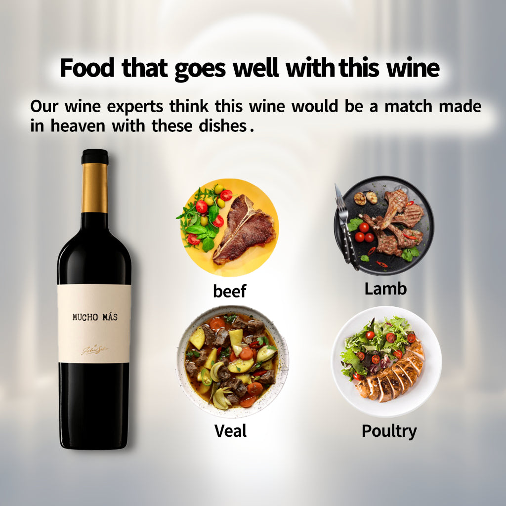 Felix Solis Mucho Mas Tinto N.V. 750ml 14% 菲利克斯·索利斯红葡萄酒