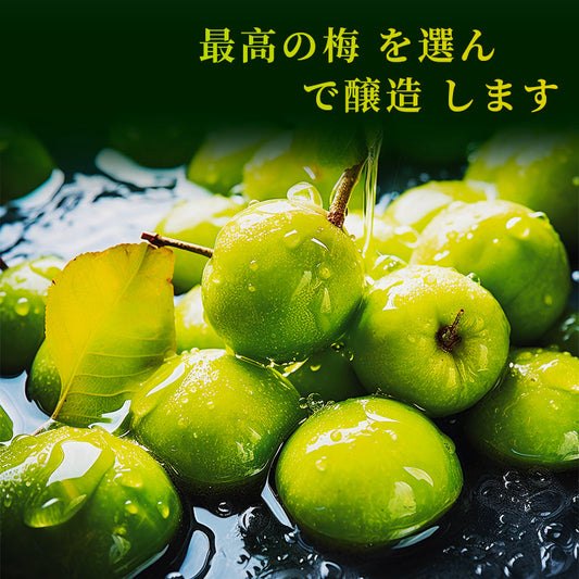 Umeshu--Delicious Liquor for World