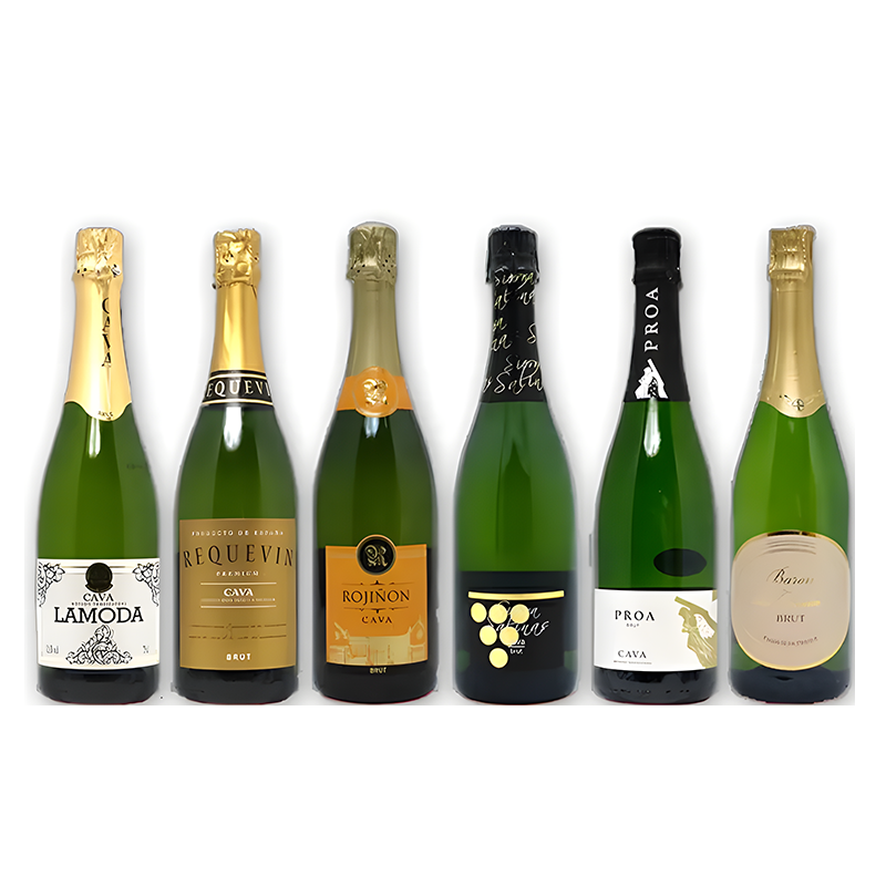 [6 Bottles] Spanish Cava Sparkling Wine Drinking Set Spain Wine 750ml per Bottle 11.5%