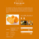 Hakutake Liqueur Umeshu Yuzumon 300ml 10% Japan Import