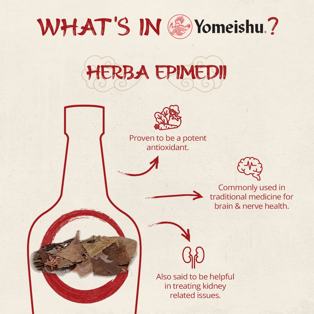 [Assorted] Yomeishu Health Tonic Liqueur 700ml/1000ml 14% Herbal Liqueur with 14 Types of Herbal Medicines