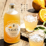 Hakutake Liqueur Umeshu Yuzumon 300ml 10% Japan Import