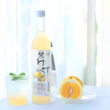 加藤吉兵卫 BORN 柚子利口酒 500ml 8% - BORN 柚子利口酒