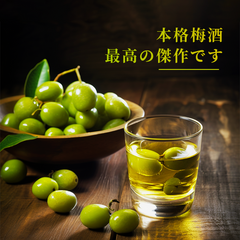 Choya KISHU Umeshu Japanese Plum Liqueur Japanese Traditional Umeshu Made of High-quality Ume 720ml 14%