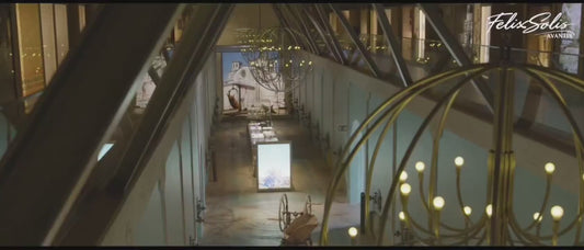 Felix Solis Mucho Mas Tinto N.V. 750ml 14% 菲利克斯·索利斯红葡萄酒