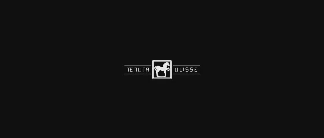 Tenuta Ulisse Limited Edition 10 Vendemmie Montepulciano d'Abruzzo Italy Red Wine 750ml 14.5%