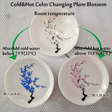 Cold&Hot Temperature Two-way Color Changing Sakura Sake Cup